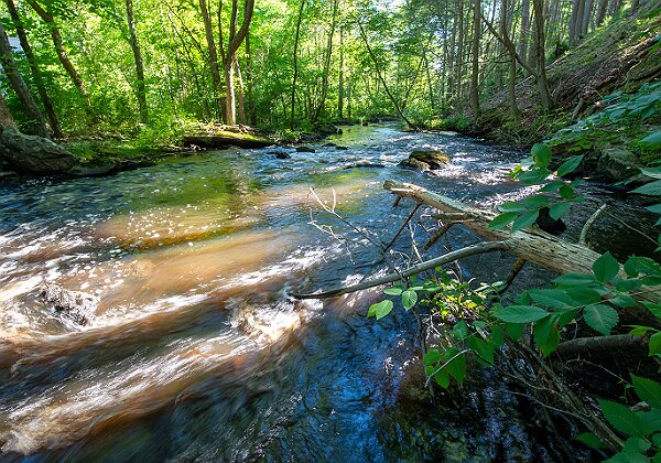 Wildlands Trust Tucker Preserve - Pembroke Wildlands Trust Tucker Preserve - Pembroke 60 images