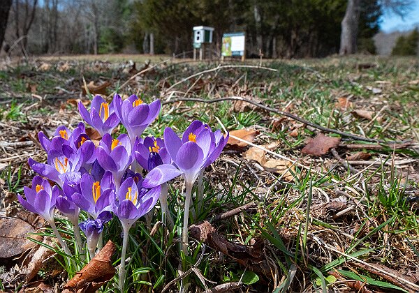 Willow Brook Farm - Wildlands Trust Willow Brook Farm - Wildlands Trust The Wildlands Trust - Willow Brook Farm is located on Route 14 in Pembroke, MA at...
