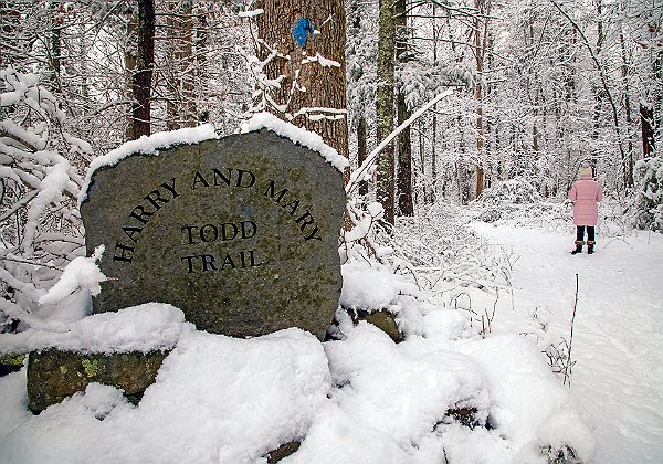 Willow Brook Farm - Wildlands Trust Willow Brook Farm - Wildlands Trust The Wildlands Trust - Willow Brook Farm is located on Route 14 in Pembroke, MA at...