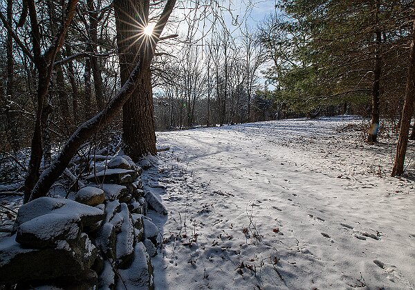 Willow Brook Farm - Wildlands Trust Willow Brook Farm - Wildlands Trust The Wildlands Trust - Willow Brook Farm is located on Route 14 in Pembroke, MA at...