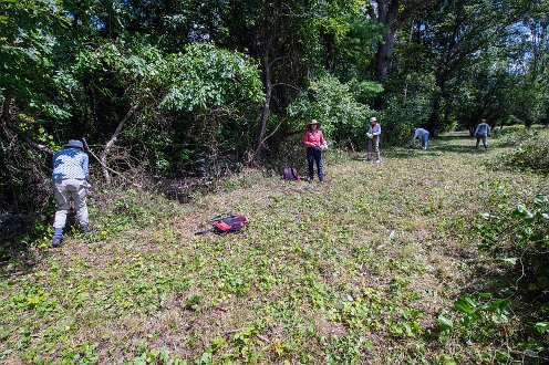 Sierra Club 2024 at Willowbrook Farm