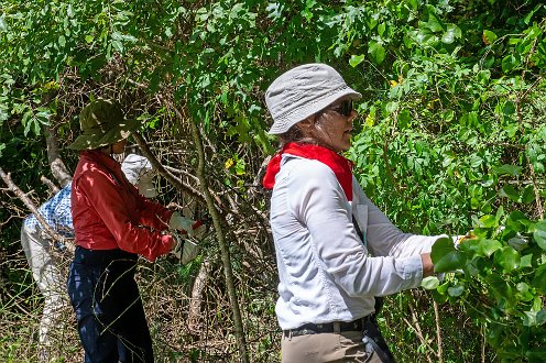 Sierra Club 2024 at Willowbrook Farm