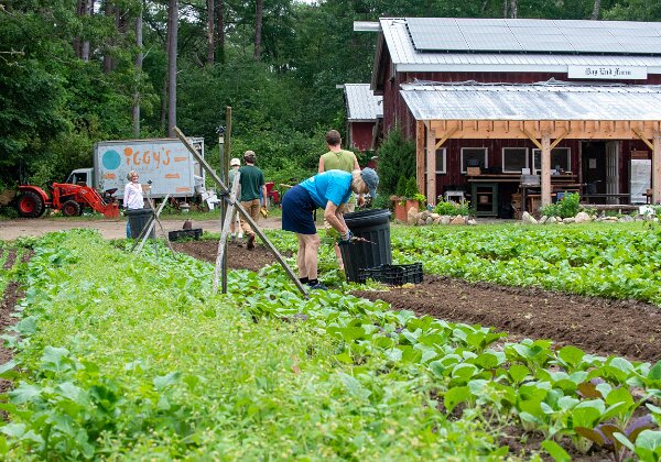 Bay End Farm - Old Fields Workday. Bay End Farm - Old Fields Workday. Volunteers from Rockland Trust along with Wildlands Trust staff and volunteers...