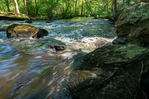 Former dam at Tucker Preserve.