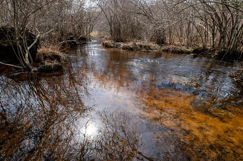 Pembroke Herring Brook