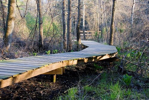 Willow_Brook_boardwalk_01