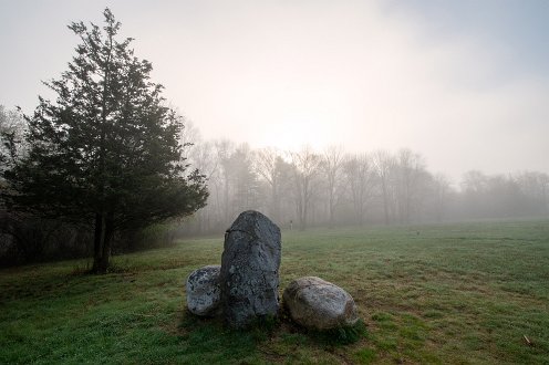 Wildlands Trust - Willowbrook Farm